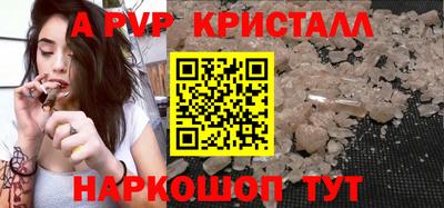 скорость Кингисепп