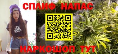 spice Кинель