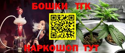 spice Кинель