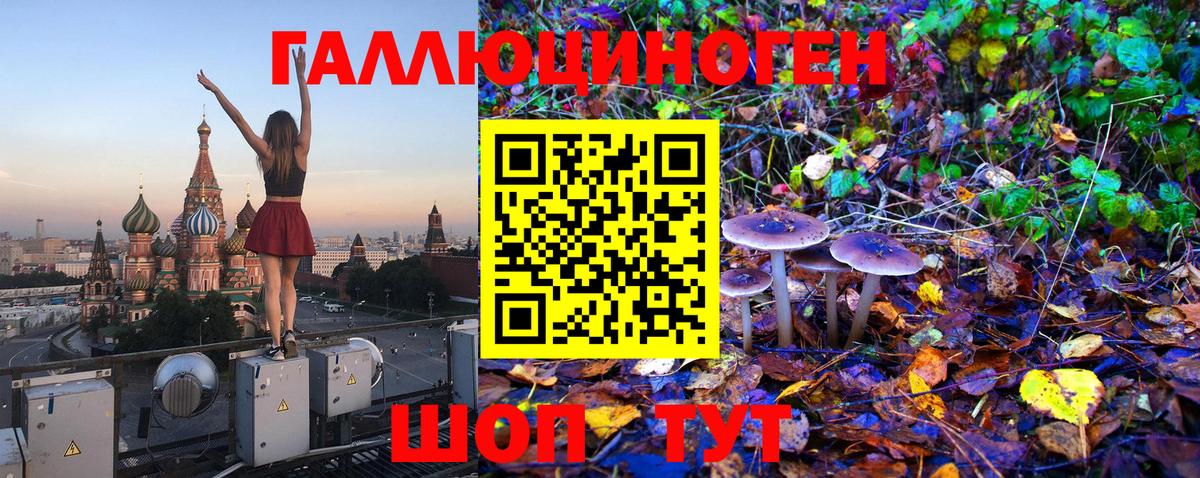 Галлюциногенные грибы GOLDEN TEACHER Каменск-Уральский