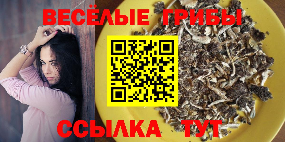 Псилоцибиновые грибы мухоморы  Вход с VPN  Каменск-Уральский 